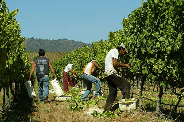 UGT FICA valora la reunión de hoy de la comisión negociadora del I Convenio Estatal Agropecuario