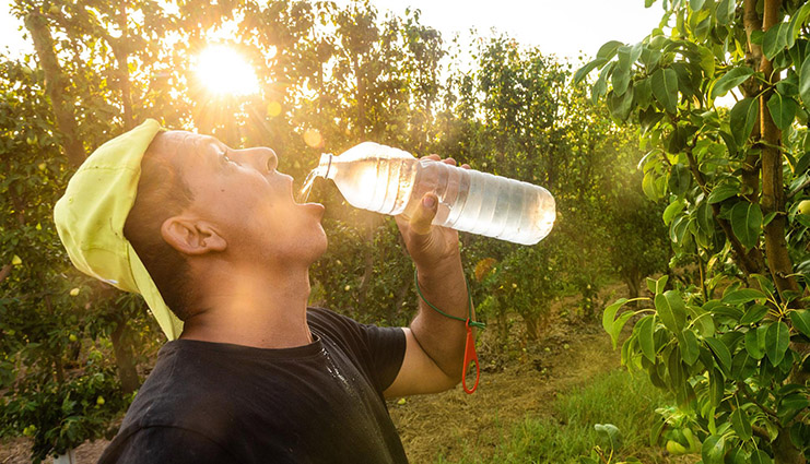 UGT FICA firma un acuerdo de actuación frente a los golpes de calor en el sector agrario