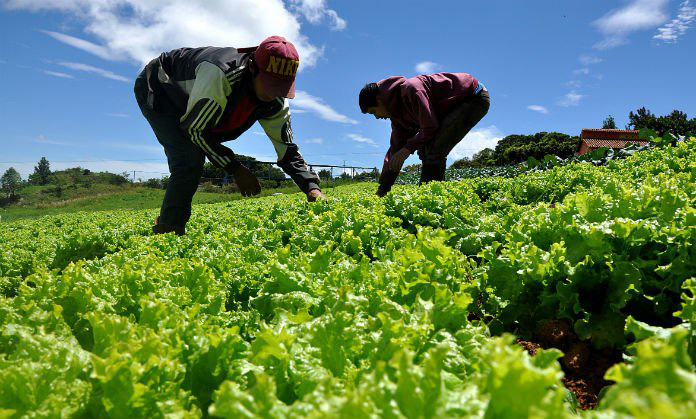 El adelanto de algunas campañas agrarias logra reducir el paro en el sector en un 2,74%
