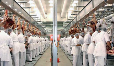 UGT FICA Cataluña consigue un acuerdo histórico por los auxiliares de inspección veterinaria