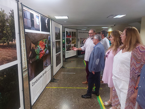 Si no hay inversión en el sector del campo andaluz tenemos un problema de futuro
