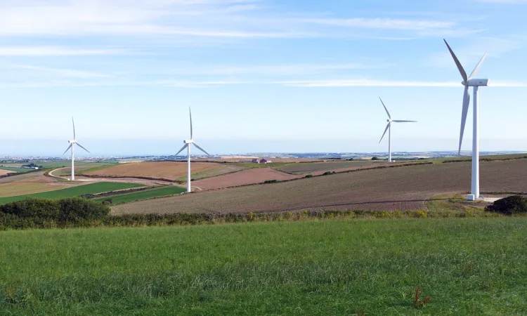 La paradoja renovable española, por Mikel Zarandona