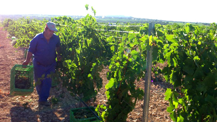 UGT FICA se levanta de la mesa de negociación del Convenio del Campo de Albacete