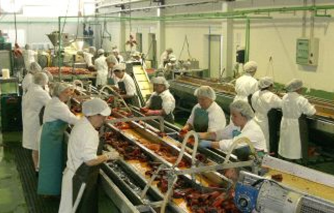 UGT FICA mantiene los tres días de huelga en el sector de conservas de pescado