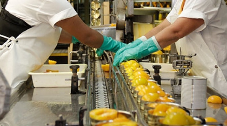 La Inspección de Trabajo da la razón a UGT FICA Región de Murcia por sus denuncias a una empresa de Torre-Pacheco