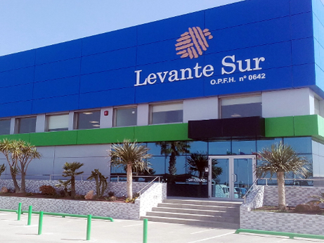 El Supremo ratifica la nulidad del despido de una trabajadora de la Cooperativa Agrícola Levante Sur