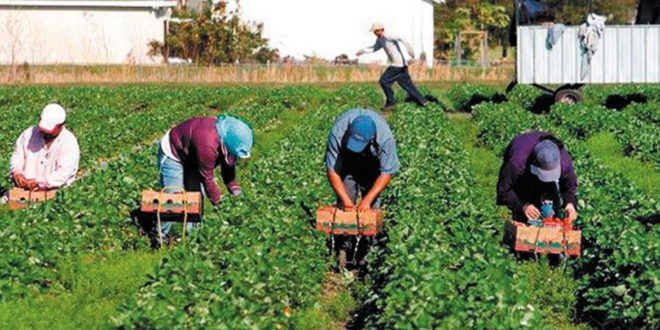 220330 Convenio del Campo1