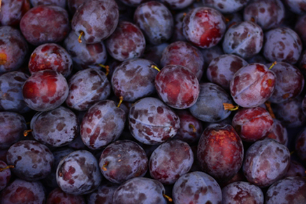 Huelga en el Campo de Extremadura