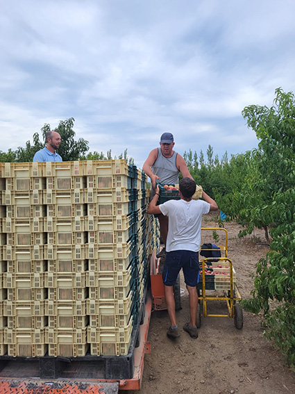 220912 Reunion con vendimiadores1