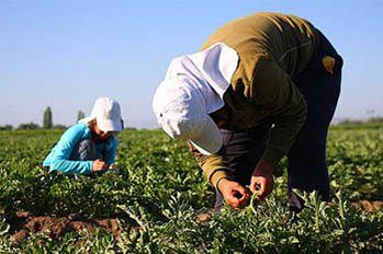 220916 agricultores1