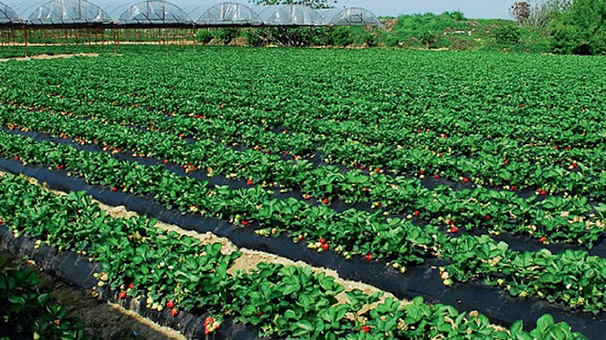 UGT FICA Ávila gana con rotundidad las elecciones en Gardisancho obteniendo los 9 delegados del comité de empresa