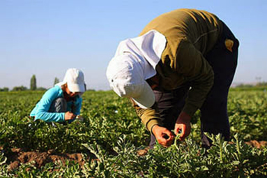221003 Sentencia TSJA tablas huelva