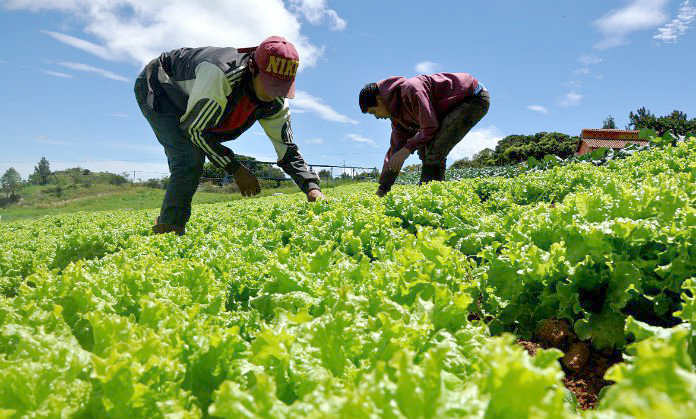 UGT FICA pide a la Dirección General de Trabajo su mediación para impulsar el  I Convenio Estatal del Sector Agrario