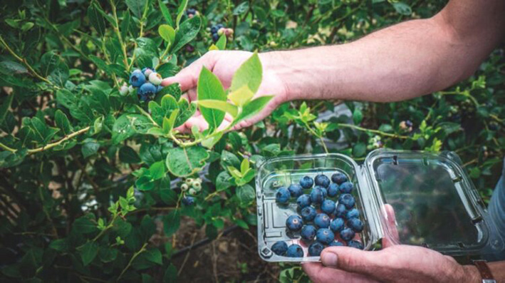 Alcanzado un acuerdo para actualizar el convenio colectivo del sector agropecuario de Cantabria