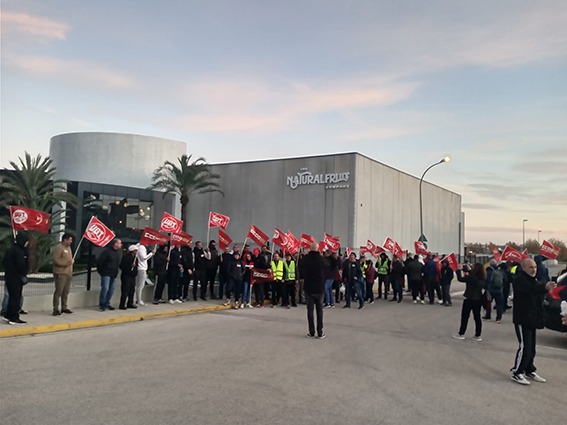 UGT FICA PV exige salarios dignos para los recolectores de cítricos