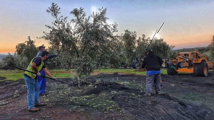 UGT FICA Andalucía reclama a la Junta más asignación económica para los fondos PFEA 2024