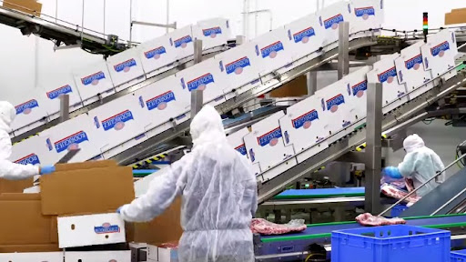 La ley electoral impide a UGT FICA León tener la mayoría en el comité en Embutidos Rodríguez pese a ser los más votados