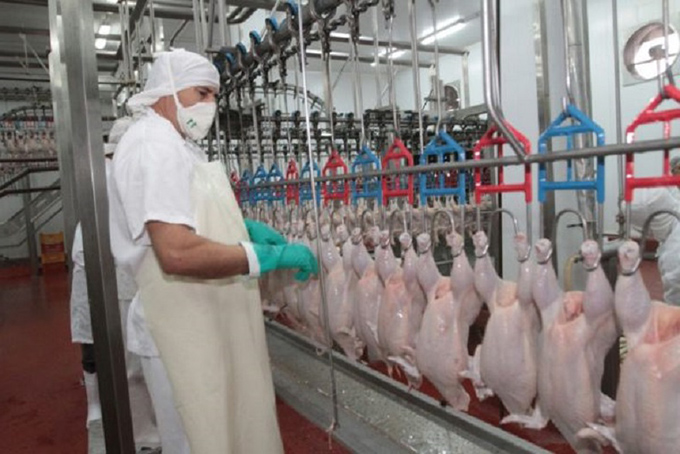 UGT FICA estudia presentar conflicto colectivo por la interpretación patronal al Convenio de Mataderos de Aves y Conejos