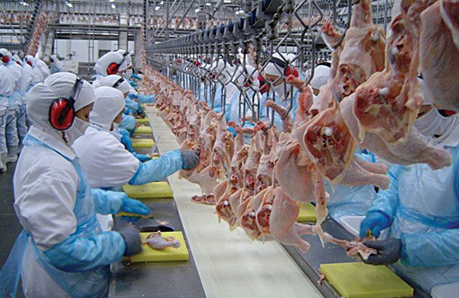 Firmado el acuerdo de revisión de las tablas salariales de 2023 y 2024 del convenio de Mataderos de Aves y Conejos