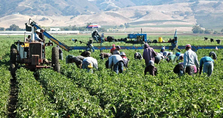 UGT FICA exige a la patronal desbloquear el convenio del Campo de Albacete