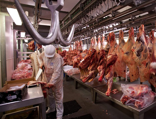 Reunión de la Comisión Negociadora del Protocolo de Acoso y Discriminación LGTI en el Convenio de la Industria Cárnica