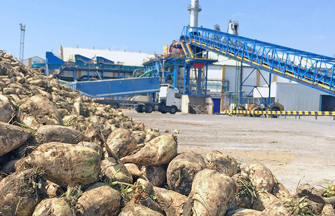 Sin avances en el Convenio Colectivo de la Industria Azucarera