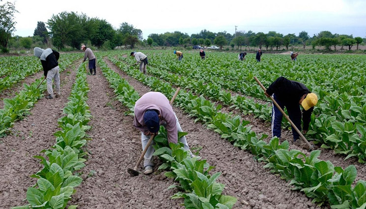 UGT FICA reclama la ampliación del subsidio por desempleo para eventuales agrarios y el desbloqueo del decreto 7/2023 sobre la reforma del subsidio