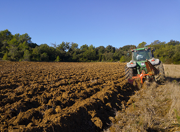 260424 28 de Abril 5