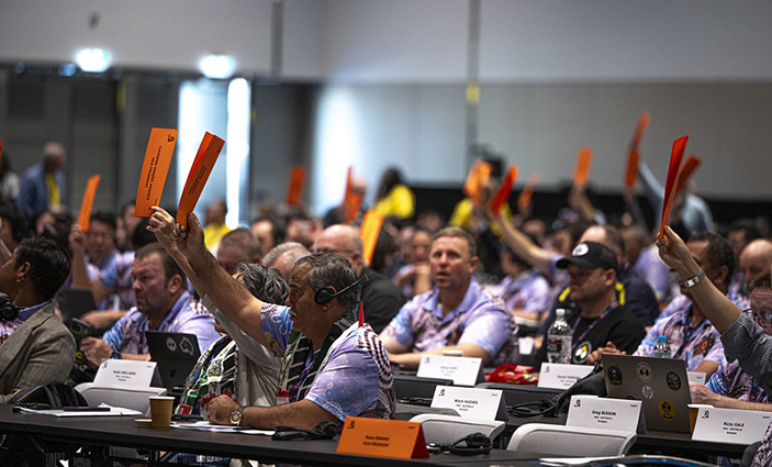 071125 Votacion nueva direccion