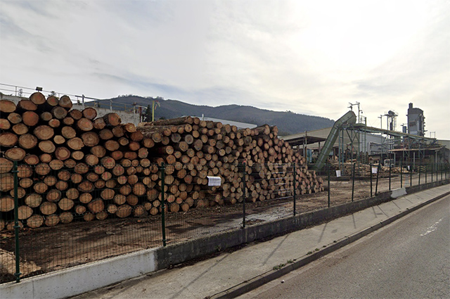 La plantilla de Maderas LLodio anuncia dos jornadas de huelga ante el intento de la empresa de despedir a 39 personas