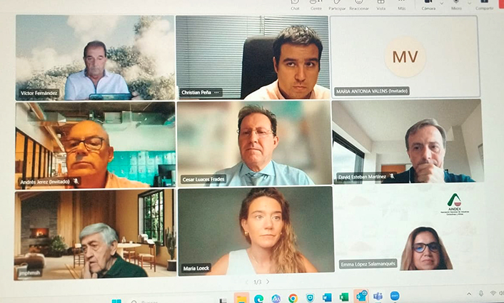 UGT FICA participa en una videoconferencia del Comité del Proyecto Rocas y Minerales, Sociedad y Vida