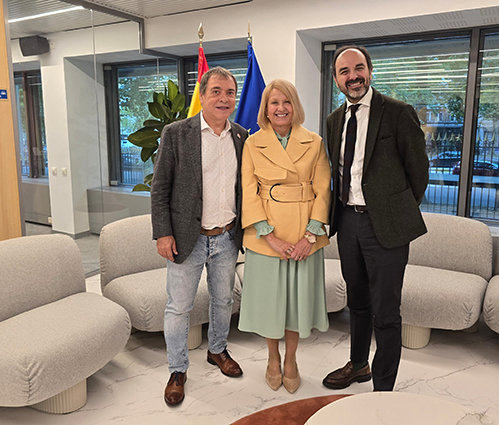 El Consejo Federal de UGT FICA se reúne con el embajador español ante la UE para entregar sus propuestas de transición justa y política industrial