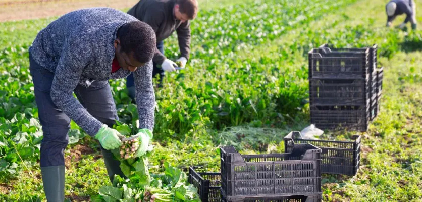 Trabajadores y trabajadoras del campo de Ciudad Real se movilizan este miércoles ante el bloqueo de la negociación del convenio