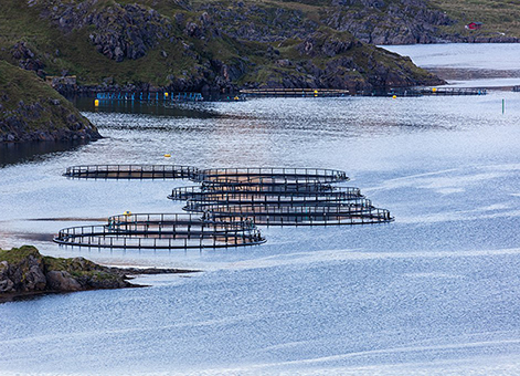 Constituida la Comisión Negociadora del Convenio de Estatal para la Acuicultura