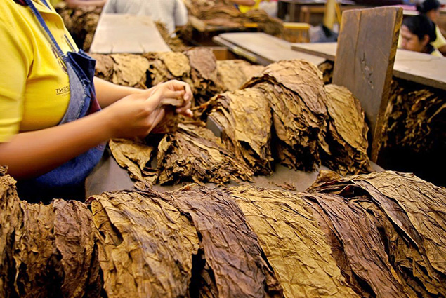 UGT FICA advierte que la nueva regulación del tabaco pone en riesgo miles de empleos en Europa
