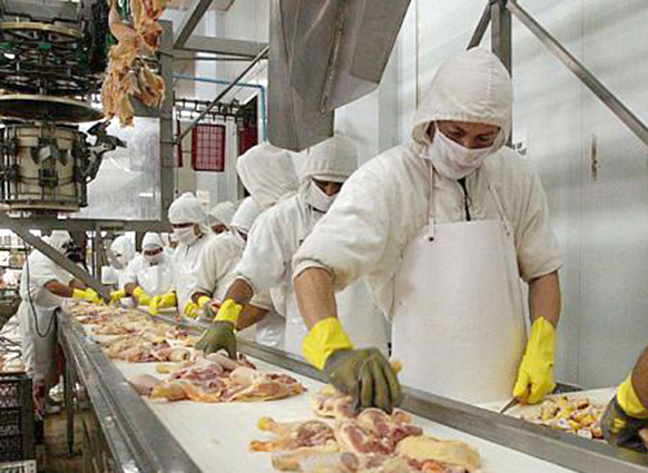 Nueva reunión negociadora del Convenio de Estatal de Mataderos de Aves y Conejos