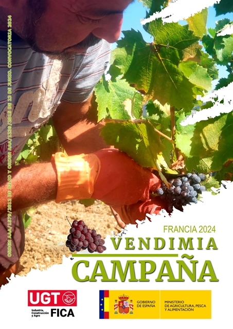 Vendimia Francesa 2024